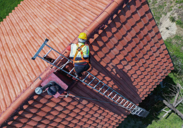 Best Roof Maintenance and Cleaning  in Greenville, RI